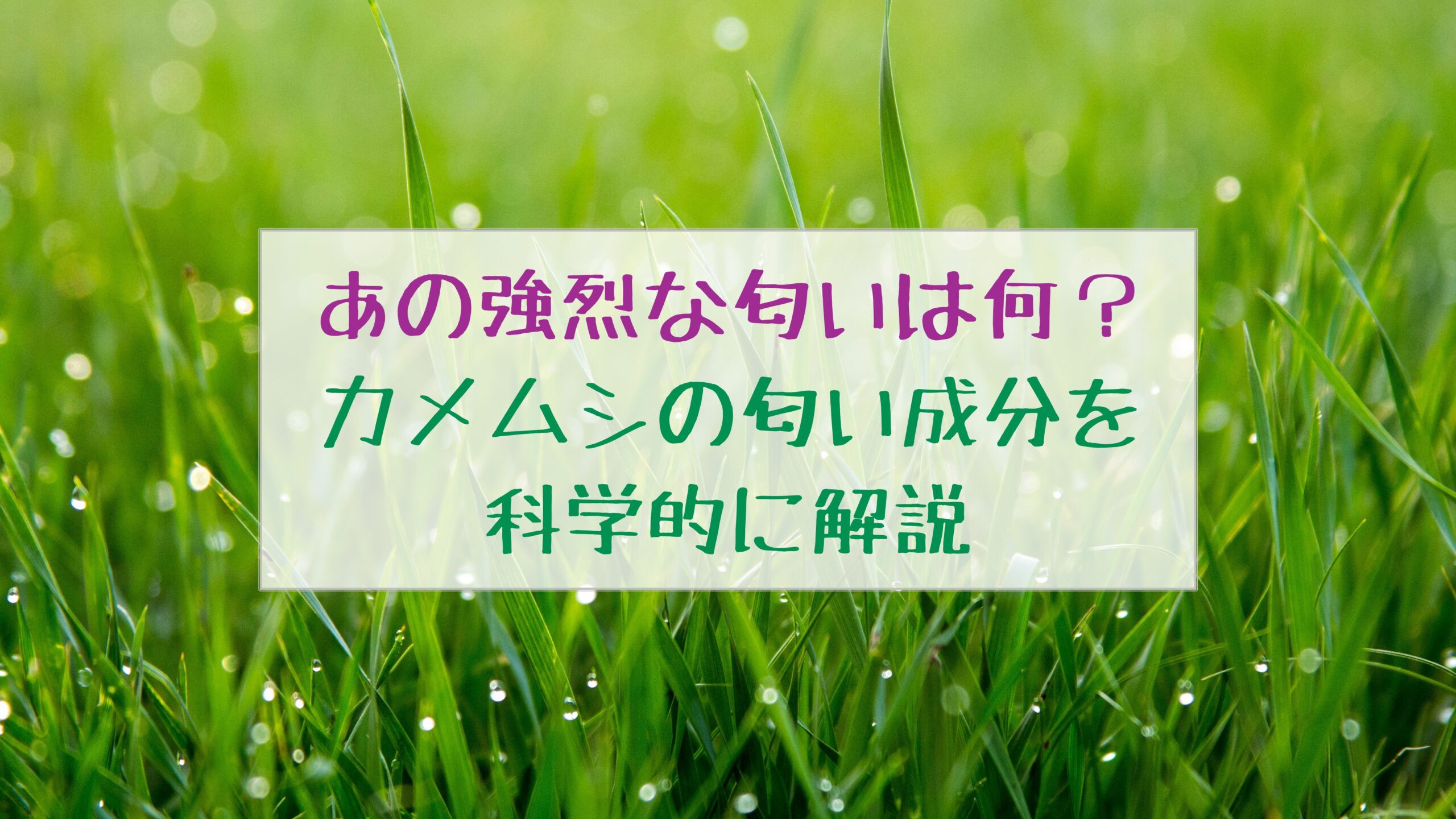 あの強烈な匂いは何？ カメムシの匂い成分を科学的に解説